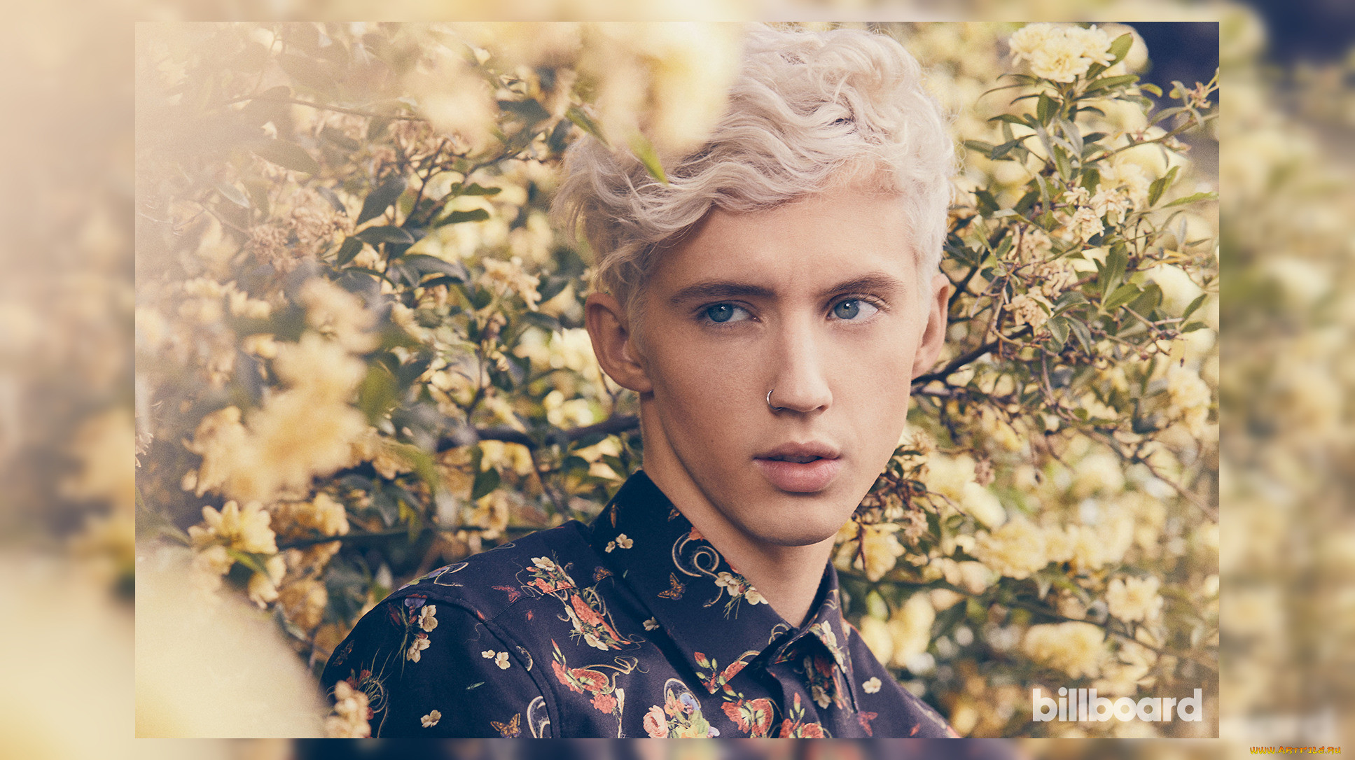 troye sivan, , 